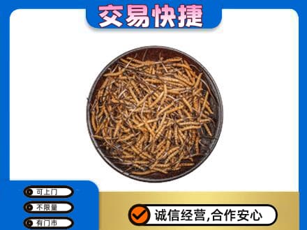 济宁市微山高价回收散虫草